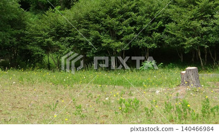 Heartwarming nature landscape photographs Heartwarming nature landscape photographs 140466984