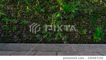 Green eco wall concept. Green ornamental plant on stone wall background. Sustainable building. Close to nature. Exterior architecture for decorative garden. Eco friendly building. Clean environment. Green eco wall concept. Green ornamental plant on stone wall background. Sustainable building. Close to nature. Exterior architecture for decorative garden. Eco friendly building. Clean environment. 140467292