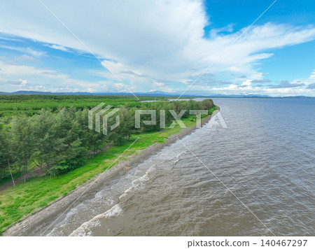 Aerial view of coastline bordered by lush pine tree line and green mangrove forest. Nature landscape. Natural carbon sink capturing CO2. Coastal ecosystem. Coastal diversity and natural carbon capture Aerial view of coastline bordered by lush pine tree line and green mangrove forest. Nature landscape. Natural carbon sink capturing CO2. Coastal ecosystem. Coastal diversity and natural carbon capture 140467297