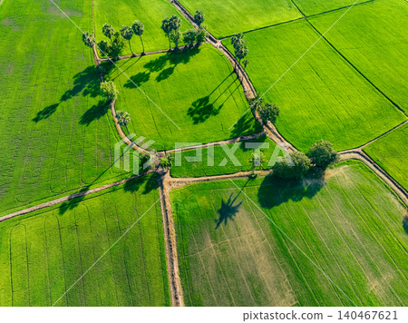 Aerial view of lush green rice field with sugar palm trees. Sustainable agriculture landscape. Sustainable rice farming. Rice cultivation. Green landscape. Organic farming. Sustainable land use. Aerial view of lush green rice field with sugar palm trees. Sustainable agriculture landscape. Sustainable rice farming. Rice cultivation. Green landscape. Organic farming. Sustainable land use. 140467621