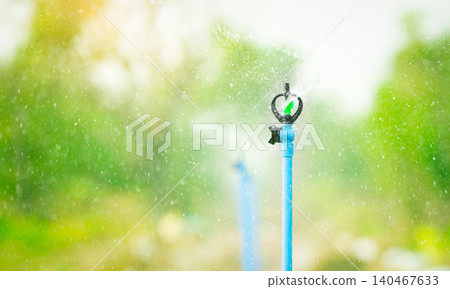 Automatic sprinkler watering green plant garden. Sustainable agriculture. Sprinkler for agriculture. Garden irrigation system. Sprinkler maintenance services. Water splashing. System for plant care. Automatic sprinkler watering green plant garden. Sustainable agriculture. Sprinkler for agriculture. Garden irrigation system. Sprinkler maintenance services. Water splashing. System for plant care. 140467633
