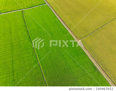 Aerial view of green and yellow rice fields. Sustainable agriculture with carbon neutrality and natural patterns. Sustainable rice farming. Sustainable agriculture and carbon-neutral farming. Aerial view of green and yellow rice fields. Sustainable agriculture with carbon neutrality and natural patterns. Sustainable rice farming. Sustainable agriculture and carbon-neutral farming. 140467652