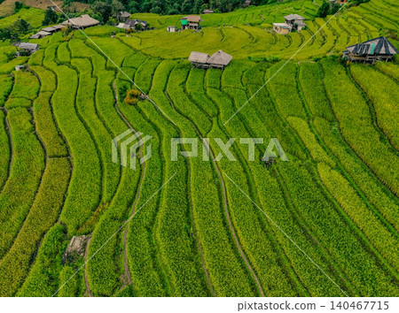 Landscape of green rice terraces amidst mountain agriculture. Travel destinations in Chiangmai, Thailand. Terraced rice fields. Traditional farming. Asian food. Thailand tourism. Nature landscape. Landscape of green rice terraces amidst mountain agriculture. Travel destinations in Chiangmai, Thailand. Terraced rice fields. Traditional farming. Asian food. Thailand tourism. Nature landscape. 140467715