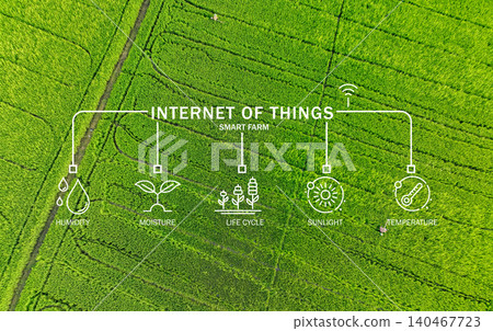 Green rice field enhanced by Internet of Things, where advanced sensors measure sunlight, temperature, humidity, and moisture to support precision agriculture and sustainable farming practices. Green rice field enhanced by Internet of Things, where advanced sensors measure sunlight, temperature, humidity, and moisture to support precision agriculture and sustainable farming practices. 140467723