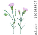 Pink carnation flowers bouquet isolated on white background 140468607