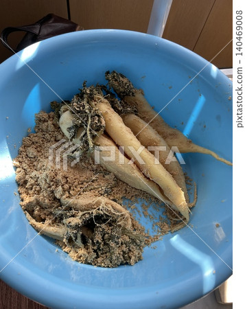 Homemade rice bran pickle bed and pickled daikon radish 140469008
