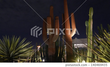 Cactus Garden at Night Botanical Display 140469435