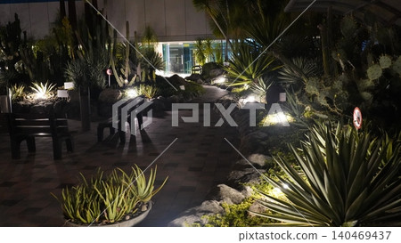Desert Garden at Nighttime With Cacti and Yucca 140469437