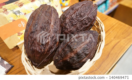 Cacao Pods Theobroma cacao Fresh Harvested Cocoa Beans 140469471