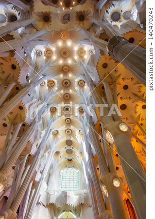 Gaudí's Sagrada Familia ceiling Gaudí's Sagrada Familia ceiling 140470243