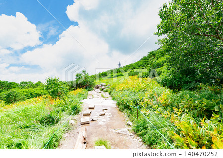 千丈嶋冰鬥的步道和高山植物 140470252
