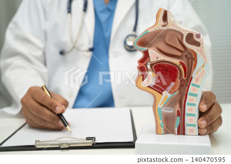 Asian doctor with nasal oral throat cavity neck human anatomy model for study diagnosis and treatment in hospital. Asian doctor with nasal oral throat cavity neck human anatomy model for study diagnosis and treatment in hospital. 140470595