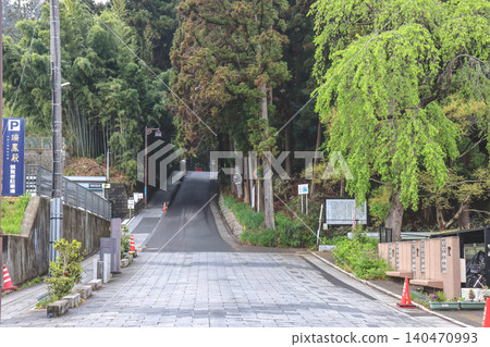 April 29 2026 Zuihoden approach road leading through forest April 29 2026 Zuihoden approach road leading through forest 140470993