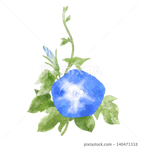 一朵藍色的牽牛花，手繪水彩插圖，具有日式紙張的質感。 140471318