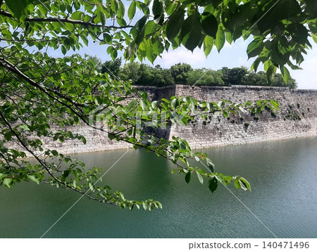 護城河和樹木,綠葉 護城河和樹木,綠葉 140471496