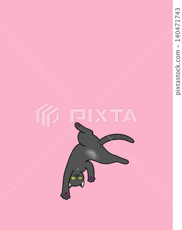 Acrobat Cat Acrobat Cat 140471743