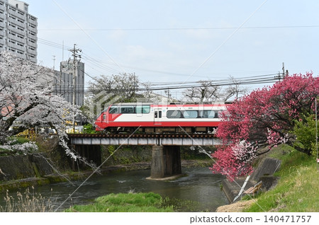 犬山1200系列全景超級跑車,櫻花盛開,景色迷人。 犬山1200系列全景超級跑車,櫻花盛開,景色迷人。 140471757