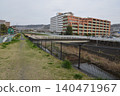 Yudono River in spring, Hachioji City 140471967