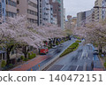 Traffic on Meiji Street with cherry blossoms in full bloom [Spring image] 140472151