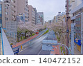Traffic on Meiji Street with cherry blossoms in full bloom [Spring image] 140472152