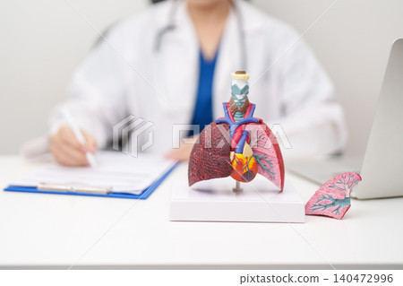 Doctor with Respiratory system anatomy for Diseases. Lung Cancer, Asthma, Chronic Obstructive Pulmonary or COPD, Bronchitis, Emphysema, Cystic Fibrosis, Bronchiectasis, Pneumonia and Pleural Effusion 140472996