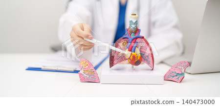 Doctor point heart Cardiovascular and Respiratory anatomy for Disease. Lung Cancer, Asthma, Chronic Obstructive Pulmonary or COPD, Bronchitis, Emphysema, Cystic Fibrosis, Bronchiectasis, Pneumonia Doctor point heart Cardiovascular and Respiratory anatomy for Disease. Lung Cancer, Asthma, Chronic Obstructive Pulmonary or COPD, Bronchitis, Emphysema, Cystic Fibrosis, Bronchiectasis, Pneumonia 140473000