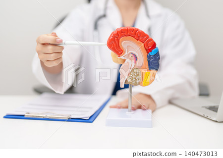 Doctor with human Brain anatomy model. World Brain Tumor day, Brain Stroke, Dementia, alzheimer, parkinson, mental health, neurological disorders and Dementia concept Doctor with human Brain anatomy model. World Brain Tumor day, Brain Stroke, Dementia, alzheimer, parkinson, mental health, neurological disorders and Dementia concept 140473013