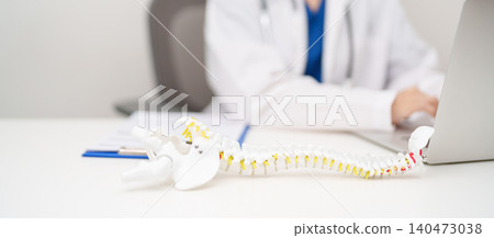 Doctor with human Spine anatomy model. Spinal Cord Disorder and disease, Back pain, Lumbar, Sacral pelvis, Cervical neck, Thoracic, Coccyx, Orthopedist, chiropractic, Office Syndrome and health 140473038