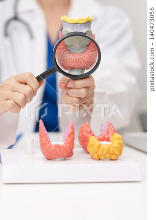 Doctor with human Thyroid anatomy model. Hyperthyroidism, Hypothyroidism, Hashimoto Thyroiditis, Thyroid Tumor and Cancer, Postpartum, Papillary Carcinoma and Health concept Doctor with human Thyroid anatomy model. Hyperthyroidism, Hypothyroidism, Hashimoto Thyroiditis, Thyroid Tumor and Cancer, Postpartum, Papillary Carcinoma and Health concept 140473056