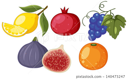 Mediterranean Fruit Collection Vector Illustration with Lemon Pomegranate Grapes and Figs Mediterranean Fruit Collection Vector Illustration with Lemon Pomegranate Grapes and Figs 140473247