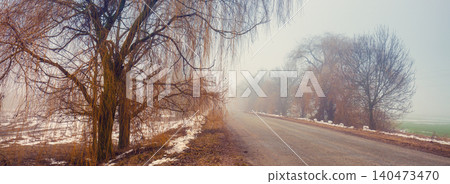 Country road in winter. Foggy landscape with road and trees without leaves 140473470