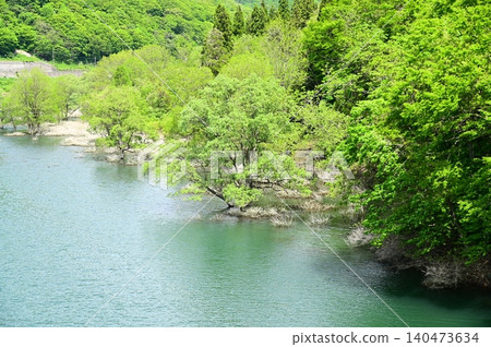 從川尻綜合公園的綾女橋上看到的景色 從川尻綜合公園的綾女橋上看到的景色 140473634