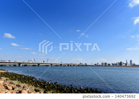 從淀川河床看的大阪市容 從淀川河床看的大阪市容 140473692