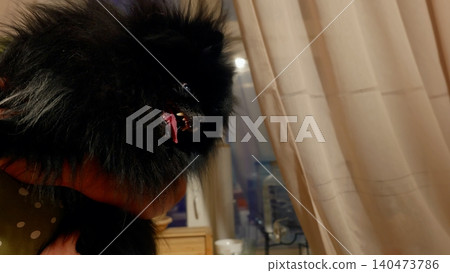 Black cat looking out window near beige curtains indoors 140473786