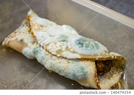 Moldy Food Photography: Spoiled Burrito with Blue Green Mold and Fungus in Kitchen Setting Moldy Food Photography: Spoiled Burrito with Blue Green Mold and Fungus in Kitchen Setting 140474354