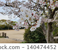 Scenery with cherry blossoms 140474452