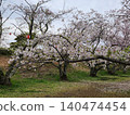 Scenery with cherry blossoms 140474454
