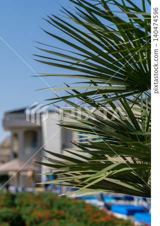 Close-up view of palm leaves with a hotel building and swimming pool blurred in the background under a clear blue sky Close-up view of palm leaves with a hotel building and swimming pool blurred in the background under a clear blue sky 140474596