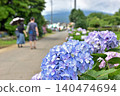 Blue hydrangeas and a couple 140474694
