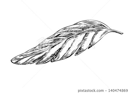 Curved banana leaf ink sketch vector isolated illustration. Hand drawn monochrome outline tropical palm foliage for summer beach bar menu, tiki party invitation and botanical wallpaper print 140474869