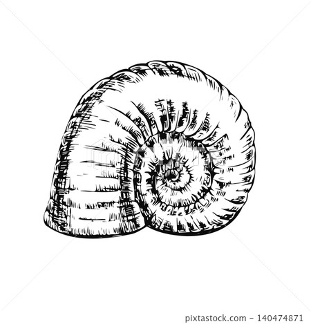 Seashell ink sketch vector isolated illustration. Hand drawn monochrome outline spiral sea shell or ammonite fossil for nautilus beach resort branding and seafood restaurant menu design Seashell ink sketch vector isolated illustration. Hand drawn monochrome outline spiral sea shell or ammonite fossil for nautilus beach resort branding and seafood restaurant menu design 140474871