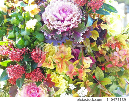 Many plants Many plants 140475189