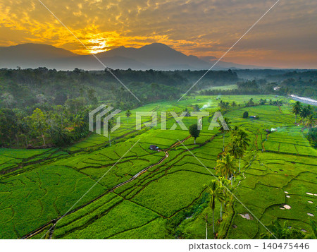 Terraced Rice Fields at Sunrise in Indonesia. Beautiful panoramic view of terraced rice fields surrounded by lush tropical greenery and palm trees Terraced Rice Fields at Sunrise in Indonesia. Beautiful panoramic view of terraced rice fields surrounded by lush tropical greenery and palm trees 140475446