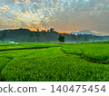 Terraced Rice Fields at Sunrise in Indonesia. Beautiful panoramic view of terraced rice fields surrounded by lush tropical greenery and palm trees 140475454