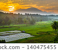 Terraced Rice Fields at Sunrise in Indonesia. Beautiful panoramic view of terraced rice fields surrounded by lush tropical greenery and palm trees 140475455