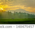 Terraced Rice Fields at Sunrise in Indonesia. Beautiful panoramic view of terraced rice fields surrounded by lush tropical greenery and palm trees 140475457