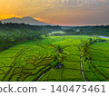 Terraced Rice Fields at Sunrise in Indonesia. Beautiful panoramic view of terraced rice fields surrounded by lush tropical greenery and palm trees 140475461