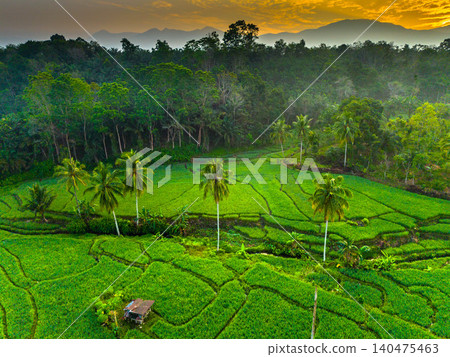 Terraced Rice Fields at Sunrise in Indonesia. Beautiful panoramic view of terraced rice fields surrounded by lush tropical greenery and palm trees 140475463
