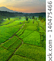 Terraced Rice Fields at Sunrise in Indonesia. Beautiful panoramic view of terraced rice fields surrounded by lush tropical greenery and palm trees 140475466