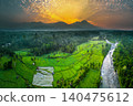 Terraced Rice Fields at Sunrise in Indonesia. Beautiful panoramic view of terraced rice fields surrounded by lush tropical greenery and palm trees 140475612